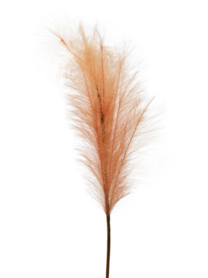 PAMPAS SALMONE H.130 CM COLLEZIONE FLOWERS - HENRIETTE