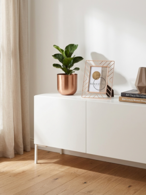 non mttere uno specchio dietro (33)