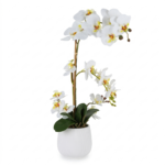 PIANTA ORCHIDEA 2 RAMI C/VASO H55 CM "REAL TOUCH" - HENRIETTE