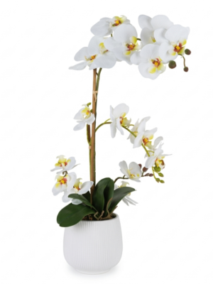 PIANTA ORCHIDEA 2 RAMI C/VASO H58 CM "REAL TOUCH" - HENRIETTE