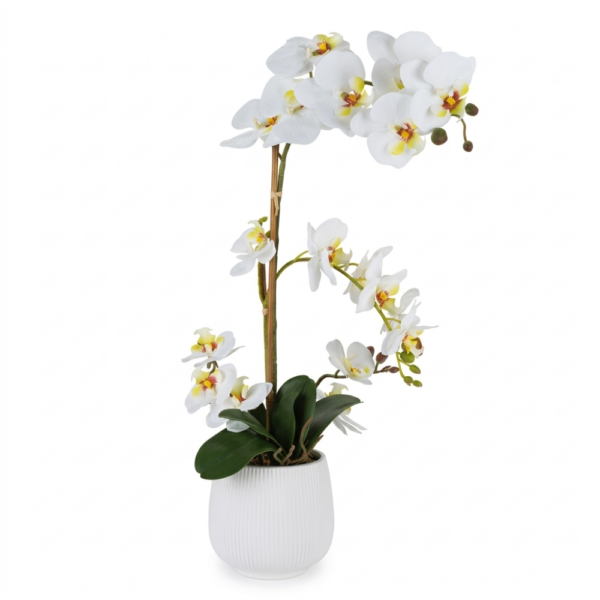 PIANTA ORCHIDEA 2 RAMI C/VASO H58 CM "REAL TOUCH" - HENRIETTE