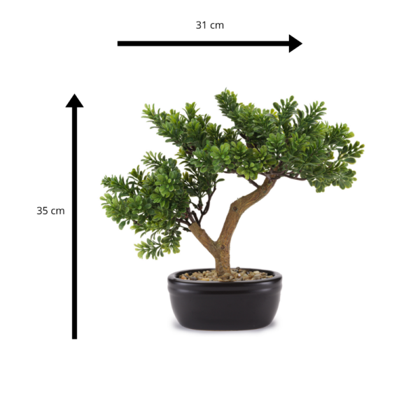 BONSAI CEDRO C/VASO CERAMICA COLLEZIONE FLOWERS - HENRIETTE