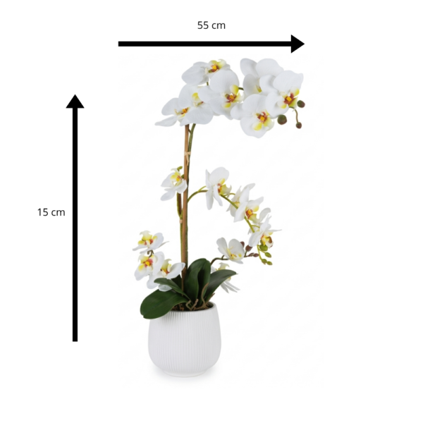 PIANTA ORCHIDEA 2 RAMI C/VASO H55 CM "REAL TOUCH" - HENRIETTE