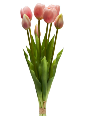 BOUQUET 5 TULIPANI CM.28 COLORATI FLOWERS