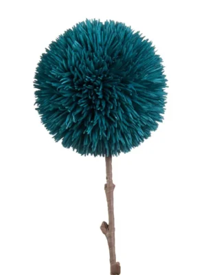 ALLIUM AVIO - L'OCA NERA