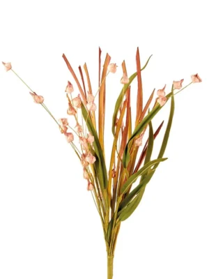 ERBA CIPOLLINA ROSA - L'OCA NERA